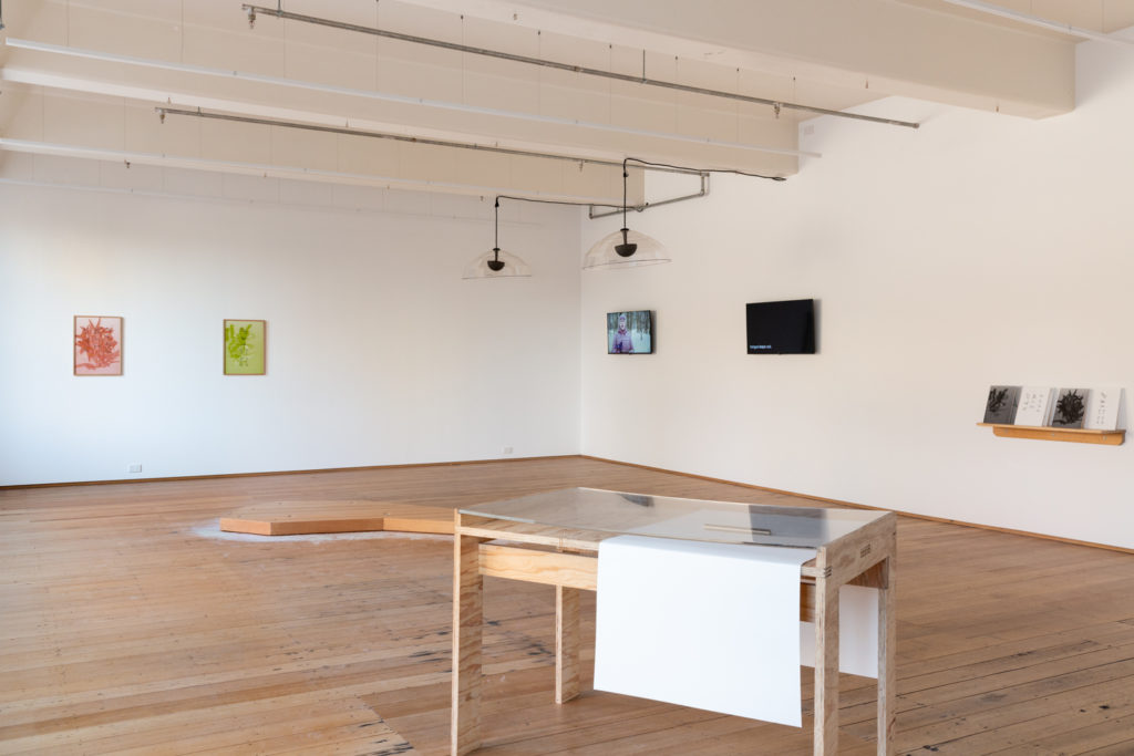 Installation view of Fayen d'Evie's show. Two wooden structures are visible alongside light fittings, digital screens and works affixed to the white walls of the West Space gallery